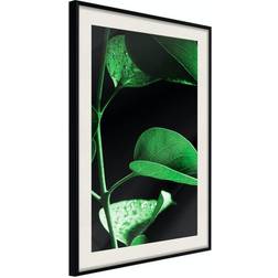 Arkiio Affisch Plant in Black [Poster] 40x60 Poster